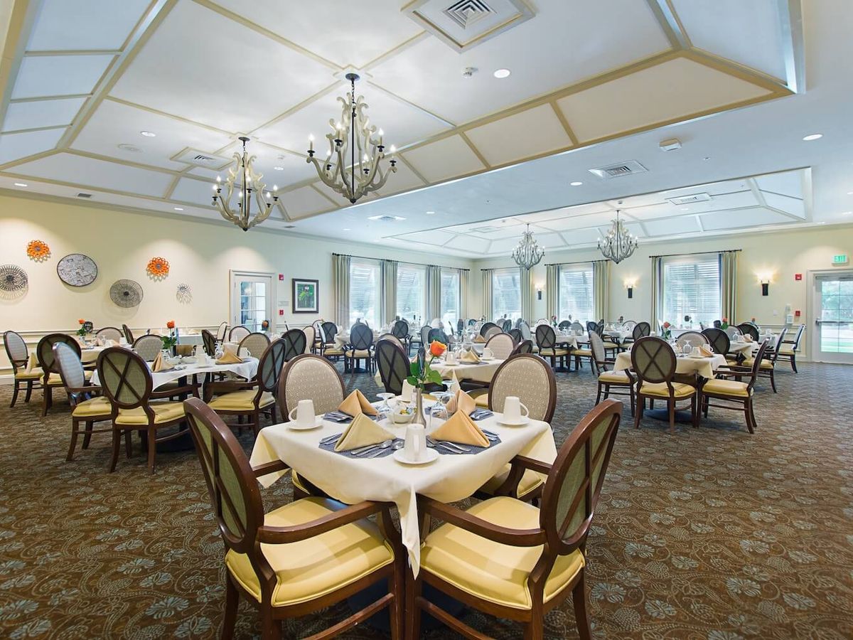 Arbor Terrace at Citrus Park Pricing, Photos and Floor Plans in Tampa